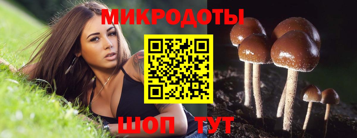 Псилоцибиновые грибы MAGIC MUSHROOMS  Вход с VPN  как найти наркотики  Псилоцибиновые грибы мухоморы  Чапаевск 